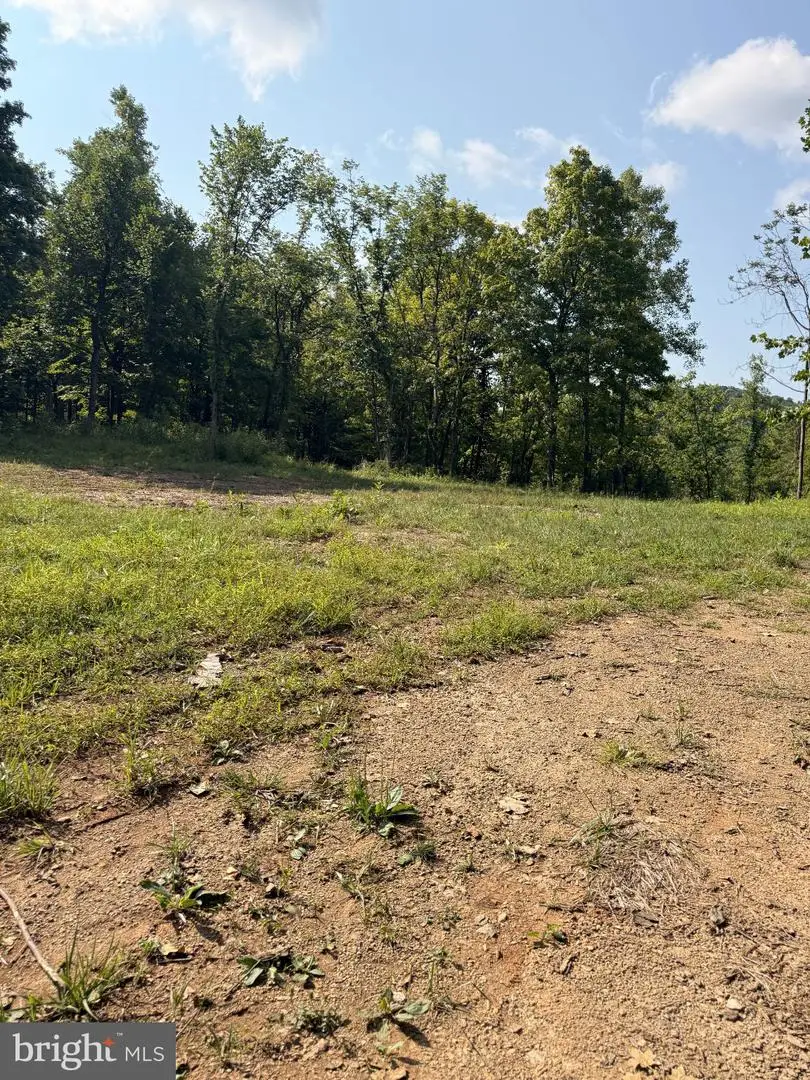 Sir Johns Run Rd, Berkeley Springs, WV 25411 - #3