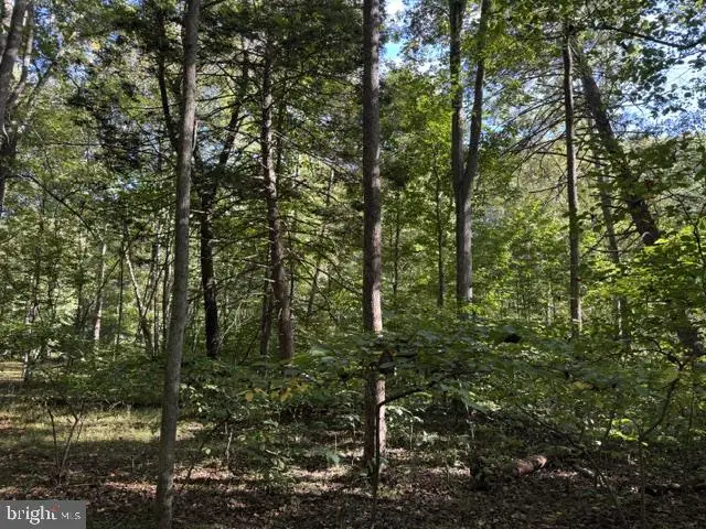 Denver Trl, Berkeley Springs, WV 25411 - #3