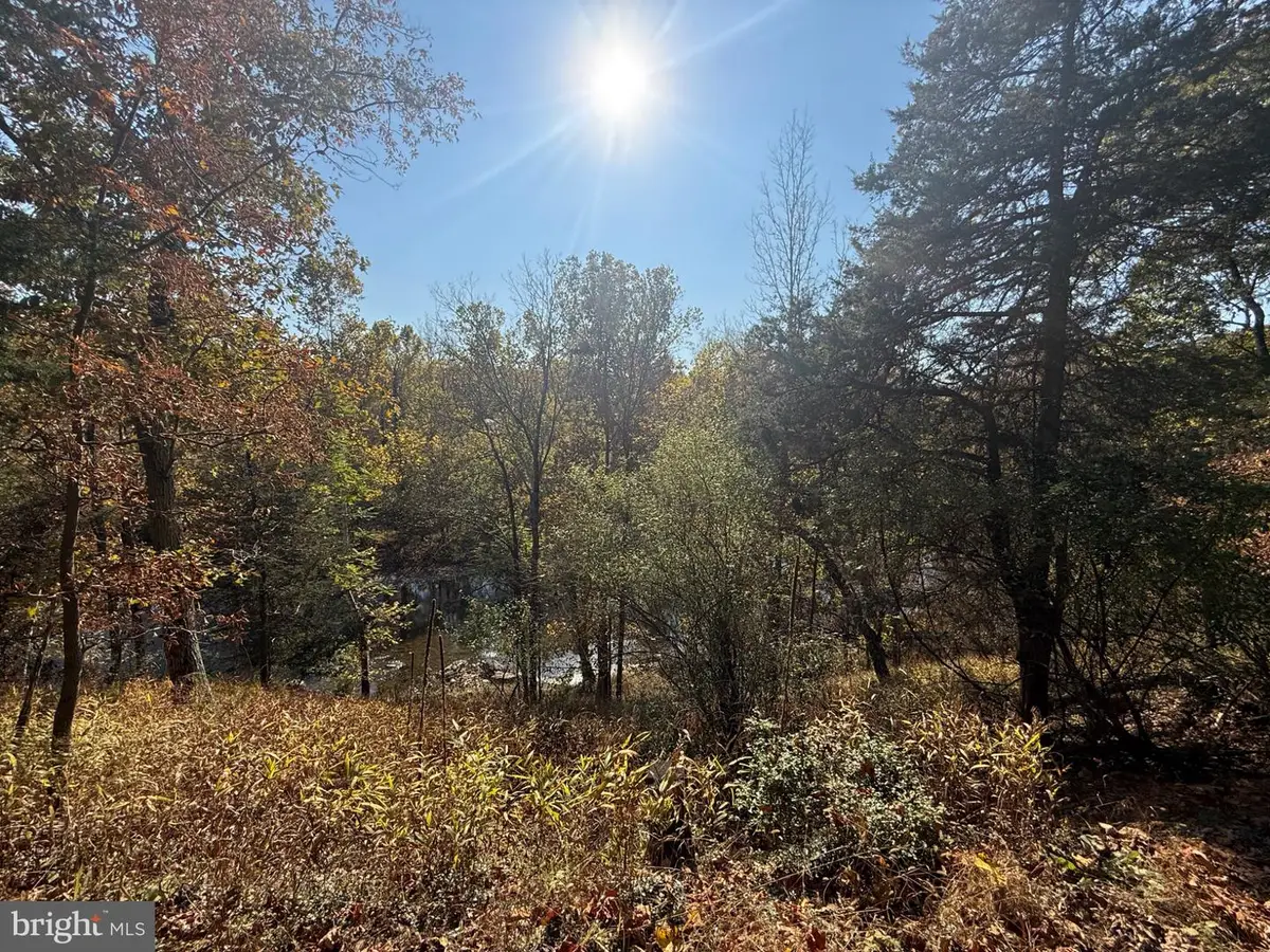 1100 Bowers Ln, Great Cacapon, WV 25422 - #1