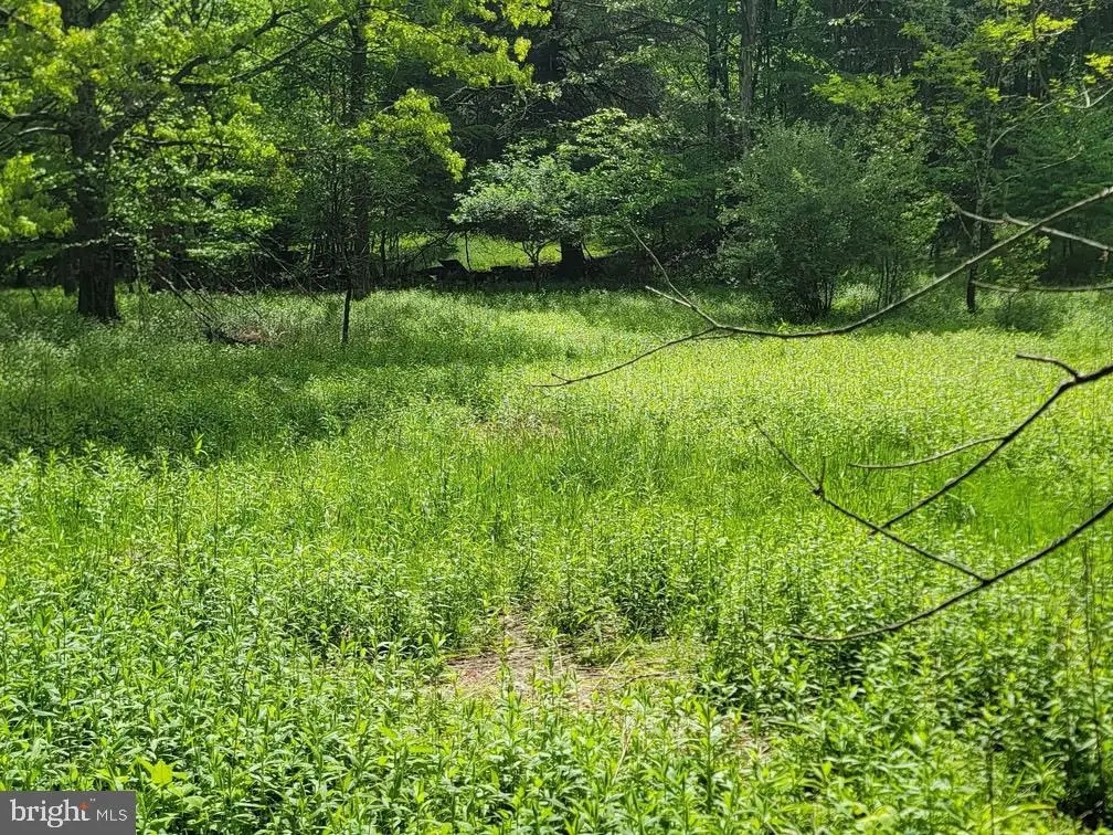 Tbd Cr83 Rd, Fairmont, WV 26554 - #1