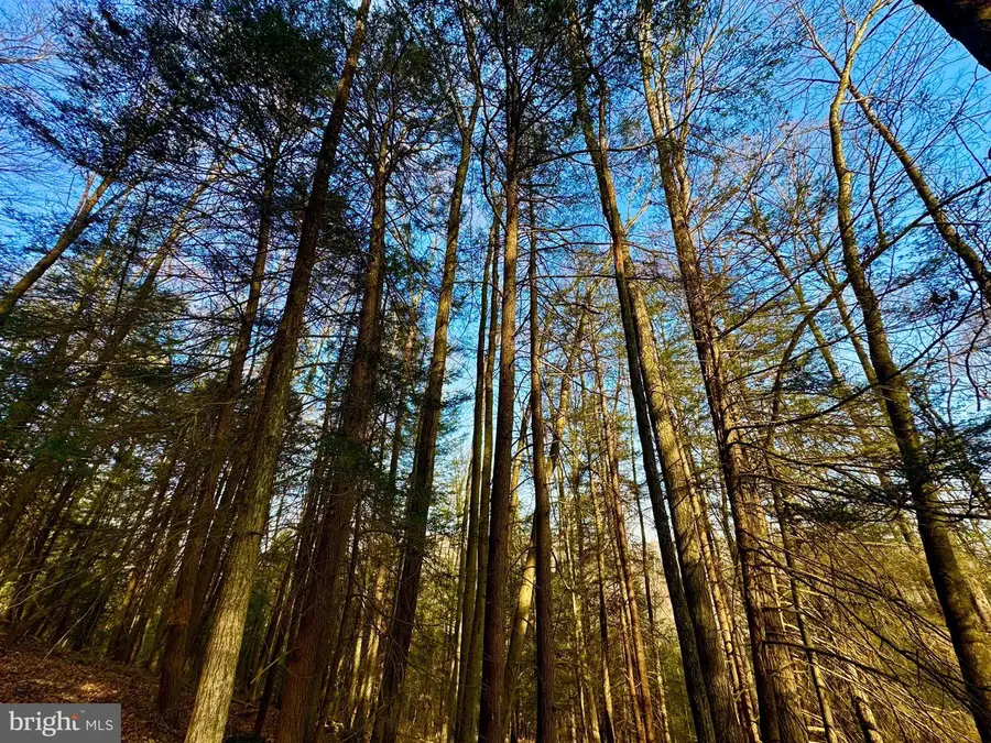Lot 30 Wild Flower Way, Albright, WV 26519 - Image #2