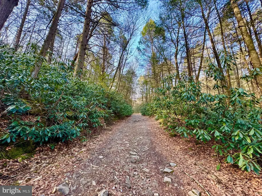 Lot 30 Wild Flower Way, Albright, WV 26519 - Image #3