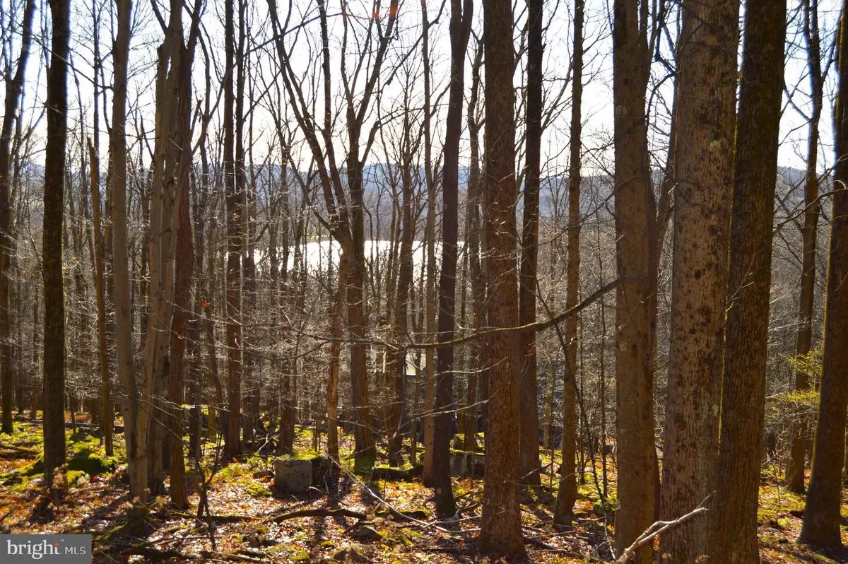 Lot 154 Daisy Dr, Terra Alta, WV 26764 - Image #1