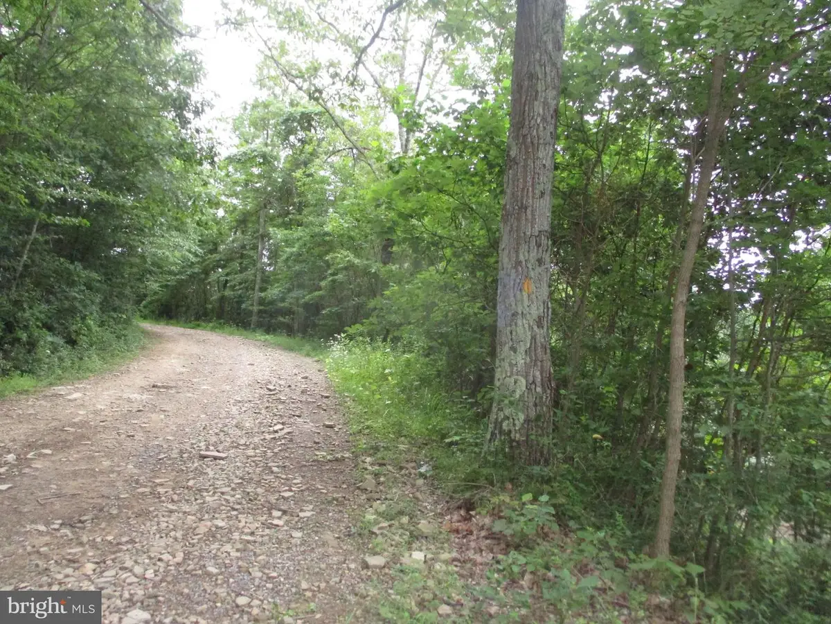 1000 Snake Rd, Aurora, WV 26705 - #1