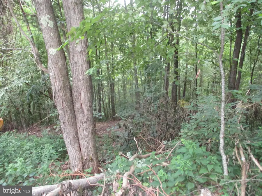 1000 Snake Rd, Aurora, WV 26705 - #2