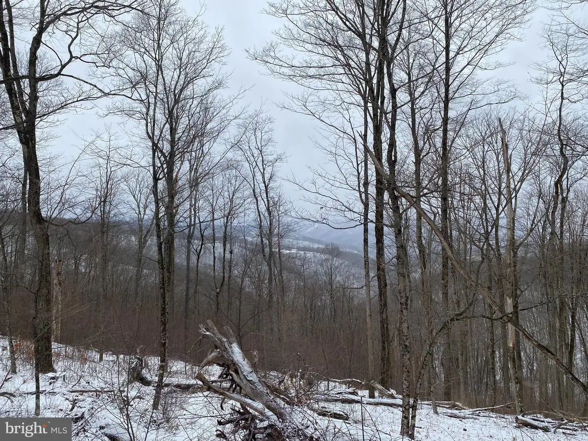 Tbd Stemple Ridge Rd, Aurora, WV 26705 - #1