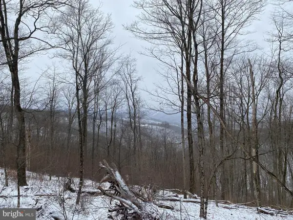 Tbd Stemple Ridge Rd, AURORA, WV 26705