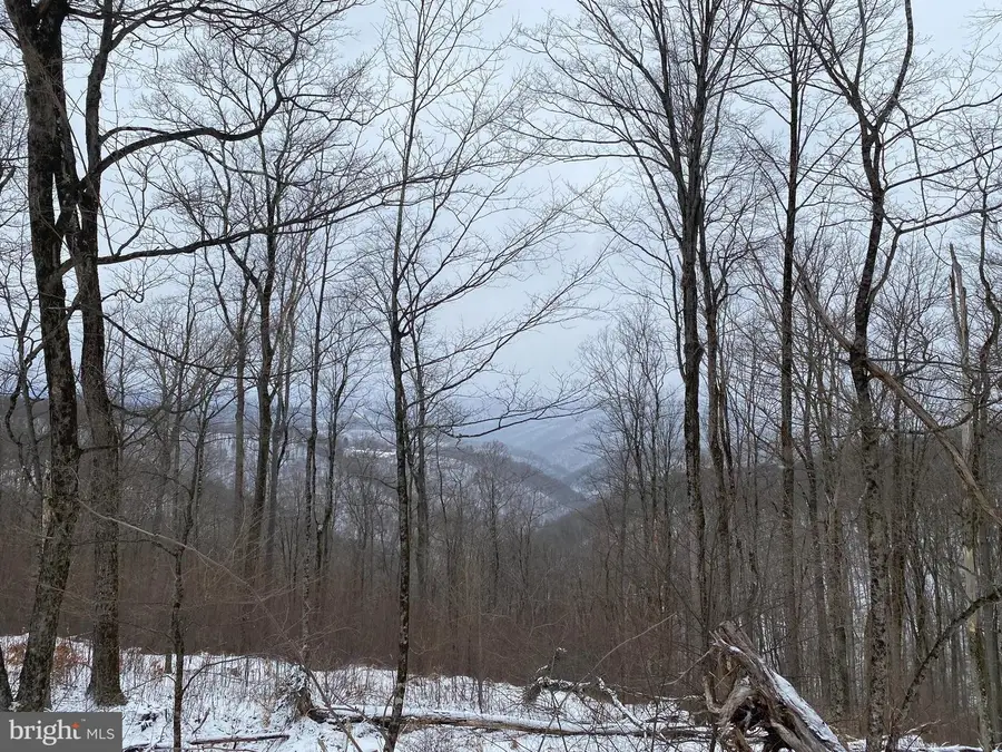 Tbd Stemple Ridge Rd, Aurora, WV 26705 - #2