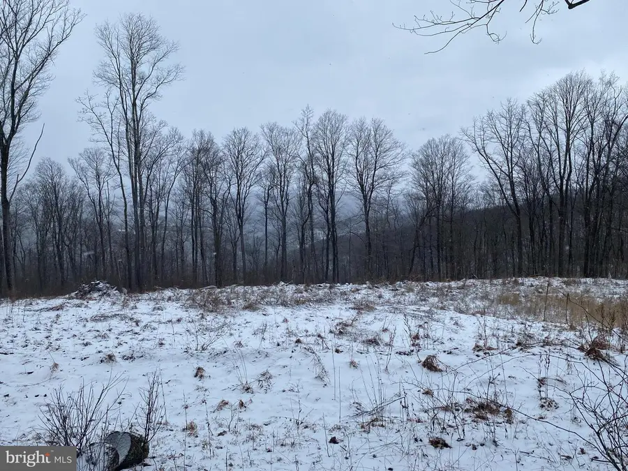 Tbd Stemple Ridge Rd, Aurora, WV 26705 - #3