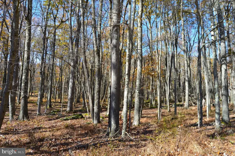 181 E Alpine Dr, Terra Alta, WV 26764 - #2