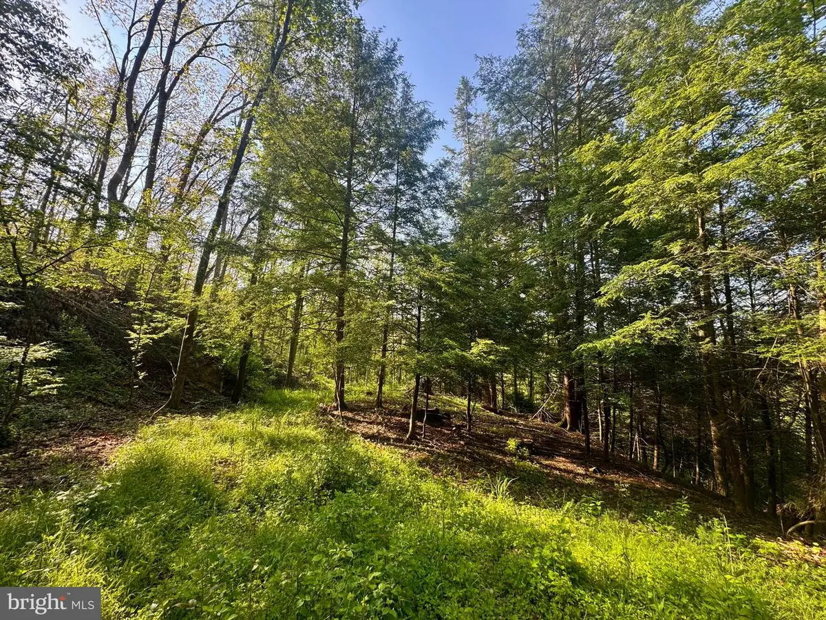 Tract A - John Orr Rd, Independence, WV 26374 - #1