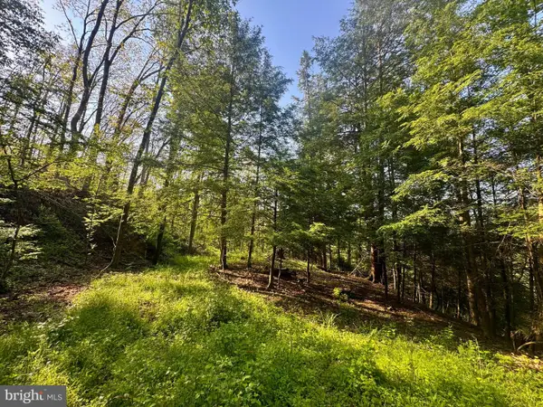 Tract A - John Orr Rd, INDEPENDENCE, WV 26374