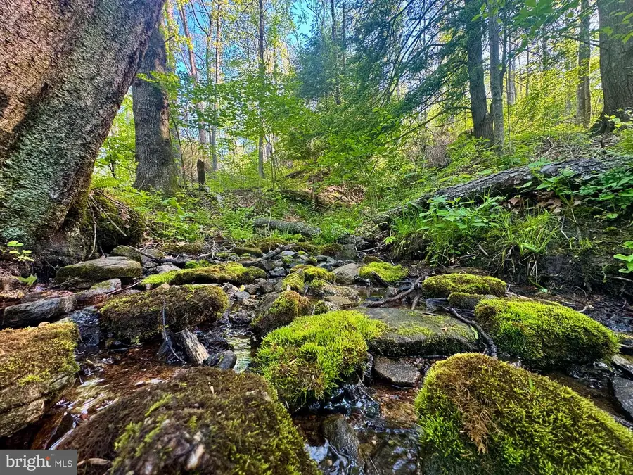 Tract A - John Orr Rd, Independence, WV 26374 - #2