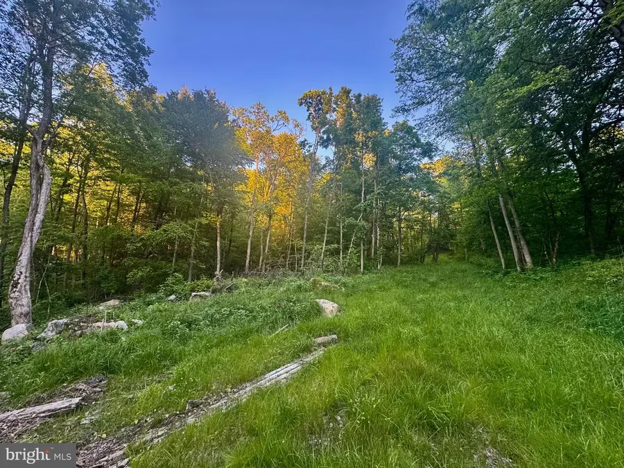 Tract B John Orr Rd, Independence, WV 26374 - #2