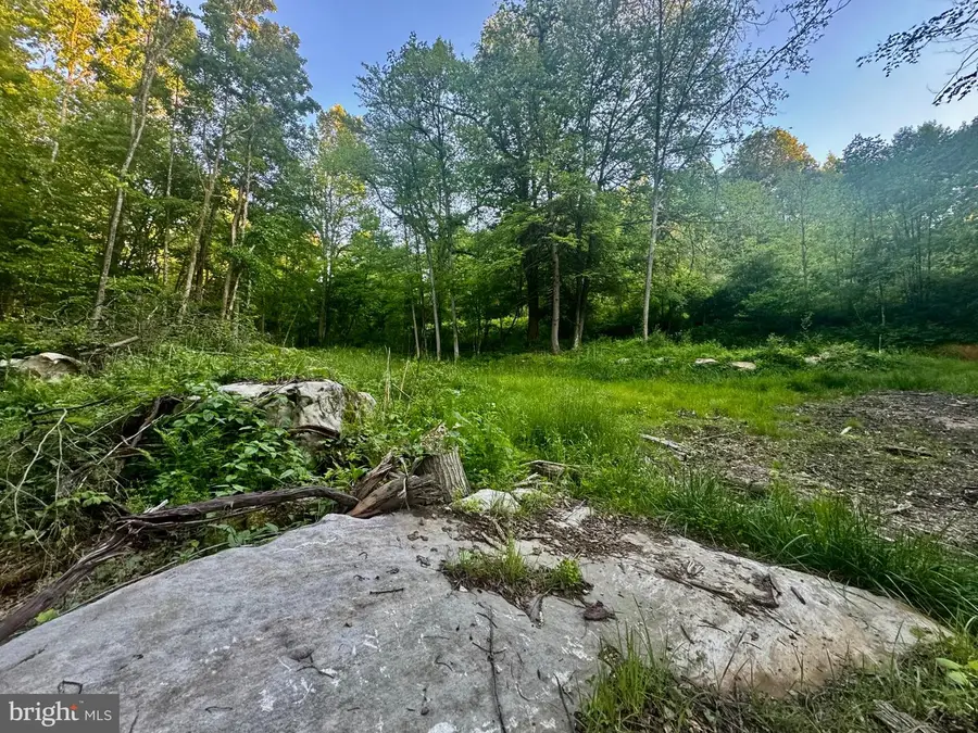 Tract B John Orr Rd, Independence, WV 26374 - #3