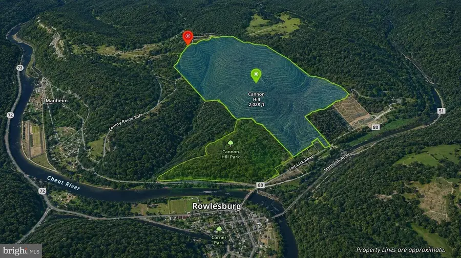 Tbd Calvert Shaver Rd, Rowlesburg, WV 26425 - #2