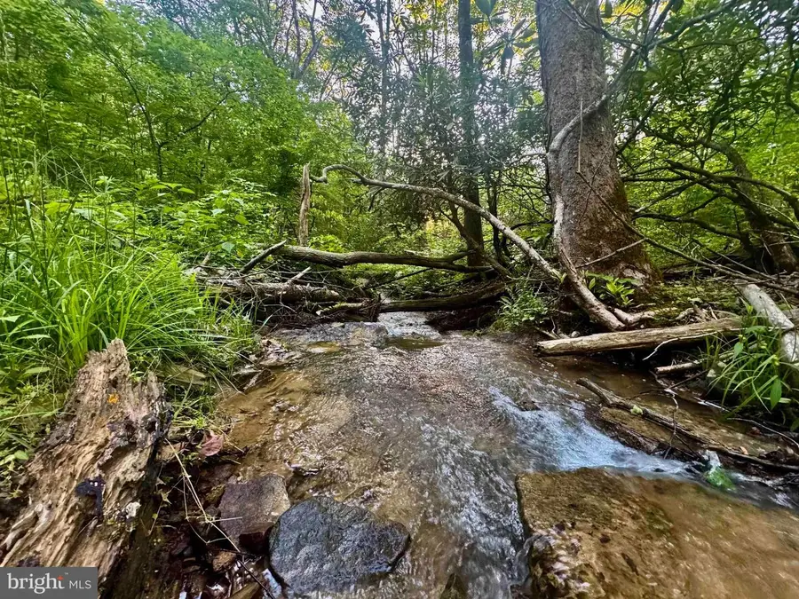 Tbd Calvert Shaver Rd, Rowlesburg, WV 26425 - #3