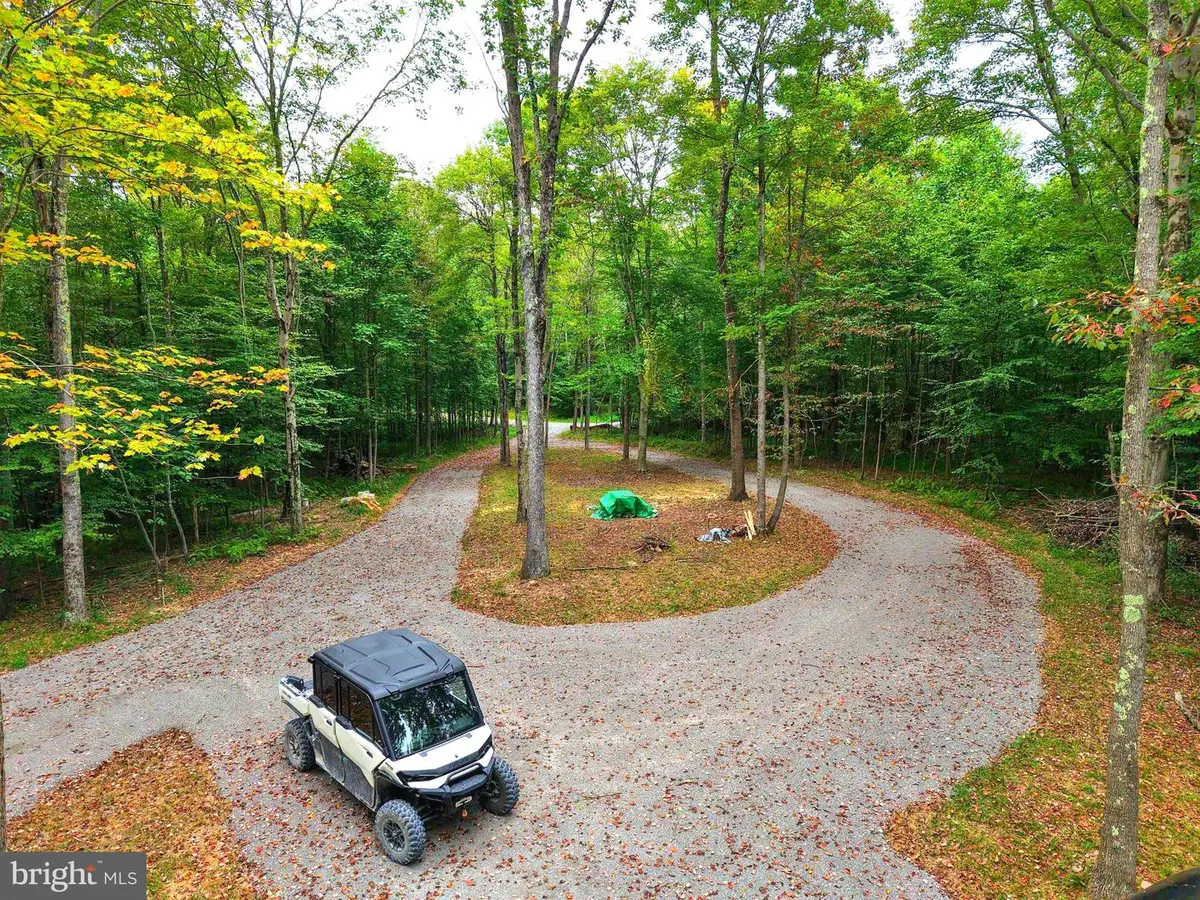 129 Grouse Run Rd, Bruceton Mills, WV 26525 - #1