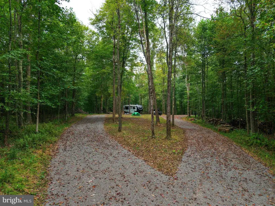 129 Grouse Run Rd, Bruceton Mills, WV 26525 - #2