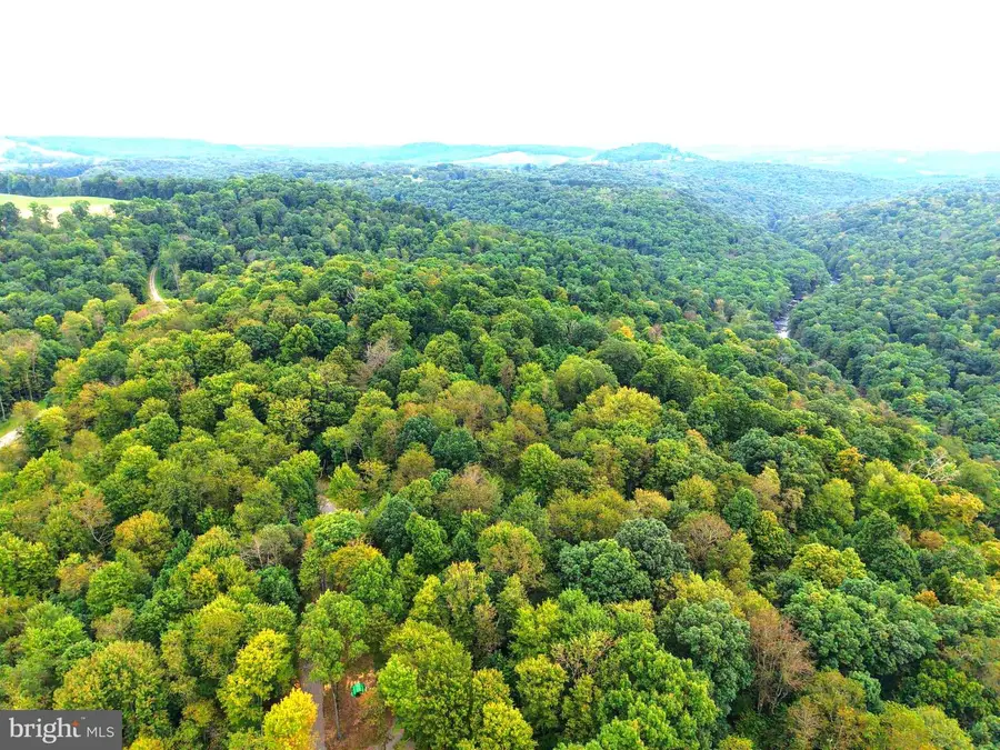 129 Grouse Run Rd, Bruceton Mills, WV 26525 - #3