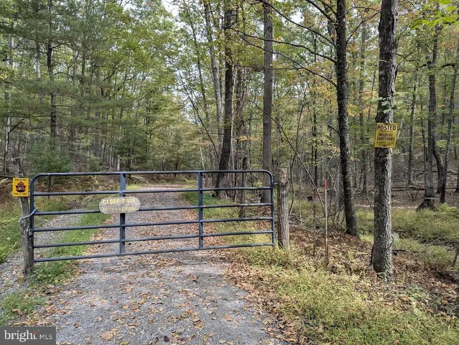 1537 Hidden Valley Rd, Franklin, WV 26807 - Image #3