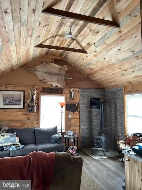 534 Strauter Rd, Franklin, WV 26807 - #3