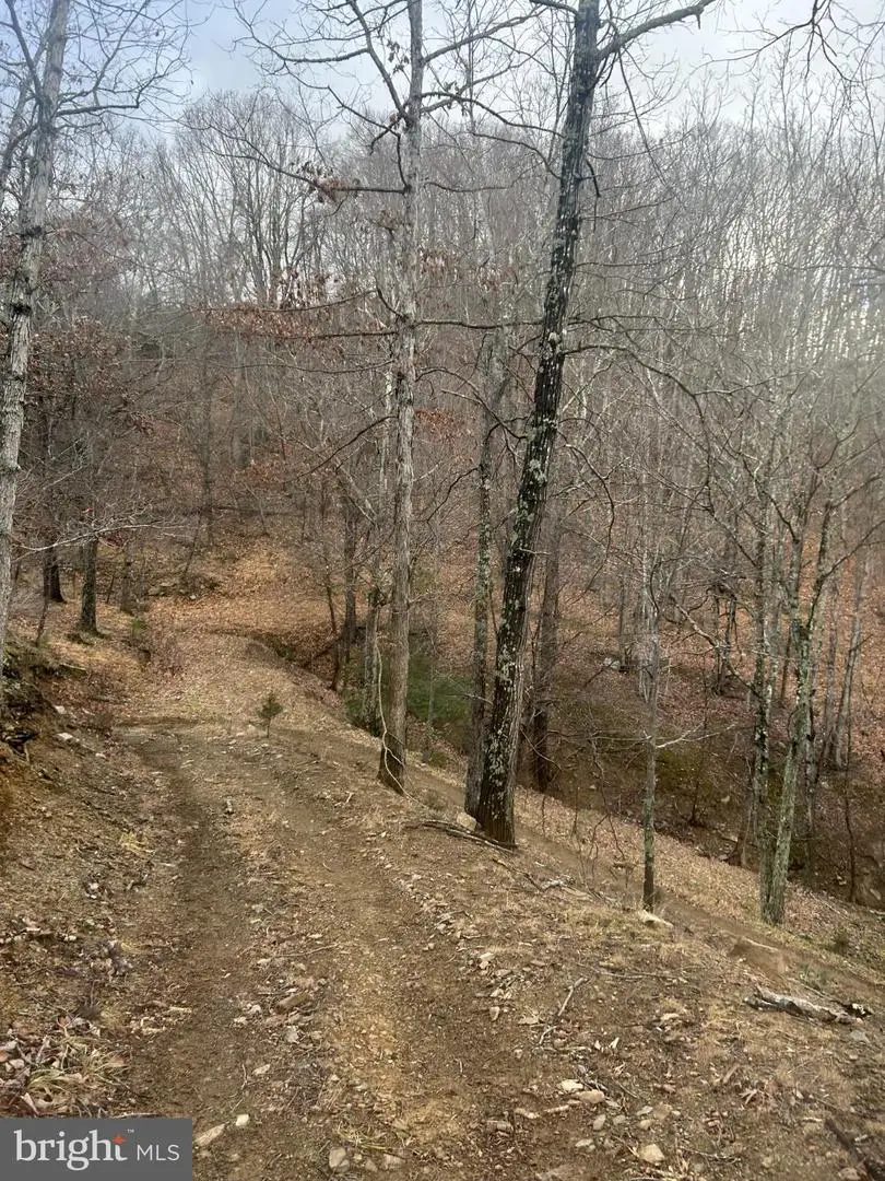 365 Strauter Rd, Franklin, WV 26807 - Image #1