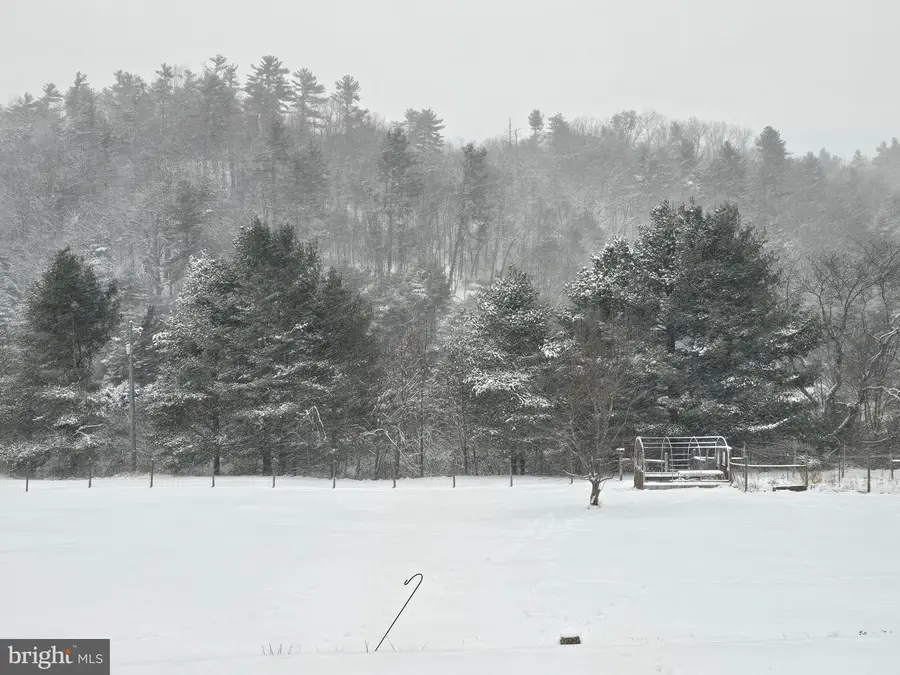 83 May Fly Lane, Sugar Grove, WV 26815 - Image #3