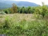 Lot #2 Bluebird Ln, FRANKLIN, WV 26807