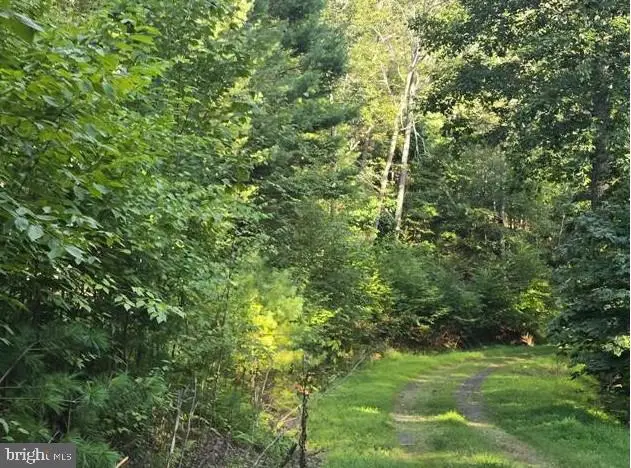 Native Trout Drive, Sugar Grove, WV 26815 - #2