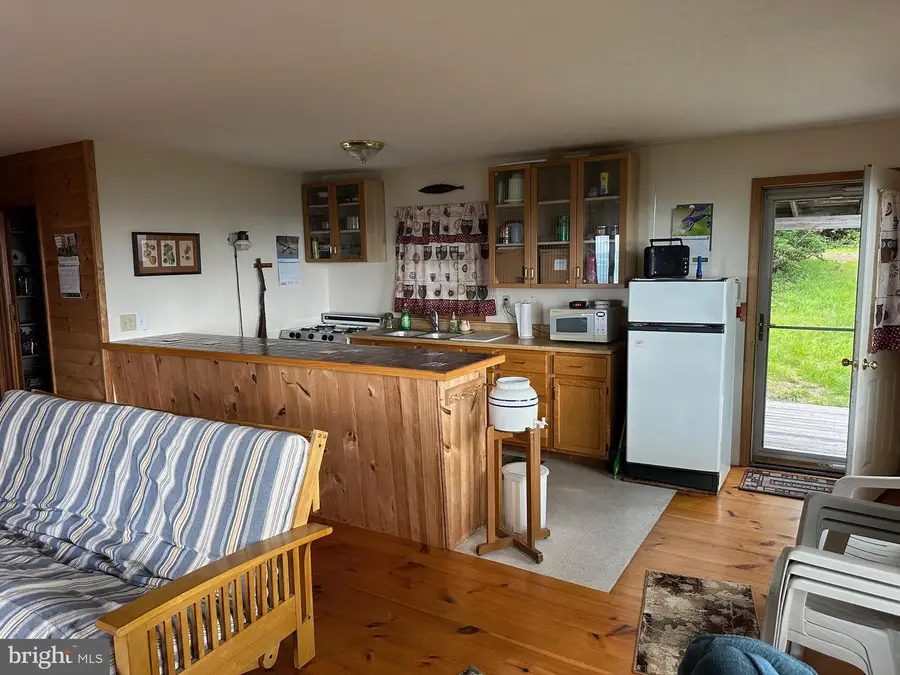 46 Pond Rd, Franklin, WV 26807 - #3