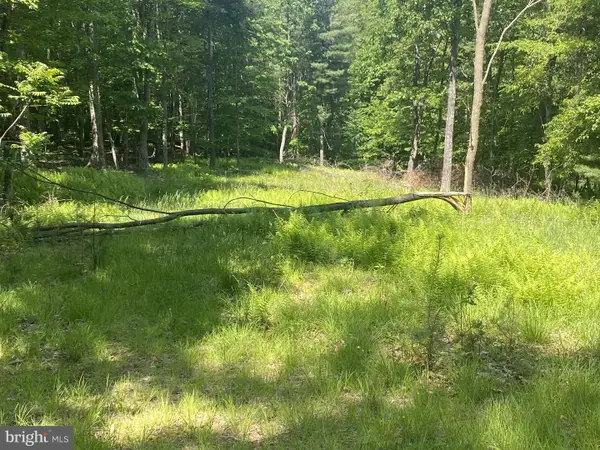 Rt 23, Dry Run Rd, FRANKLIN, WV 26807