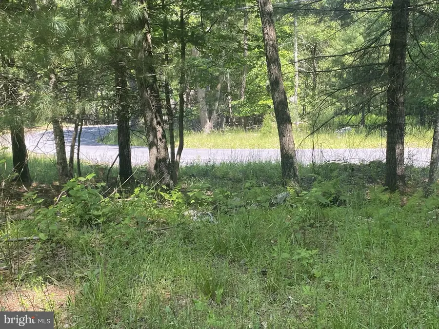 Rt 23, Dry Run Rd, Franklin, WV 26807 - #2