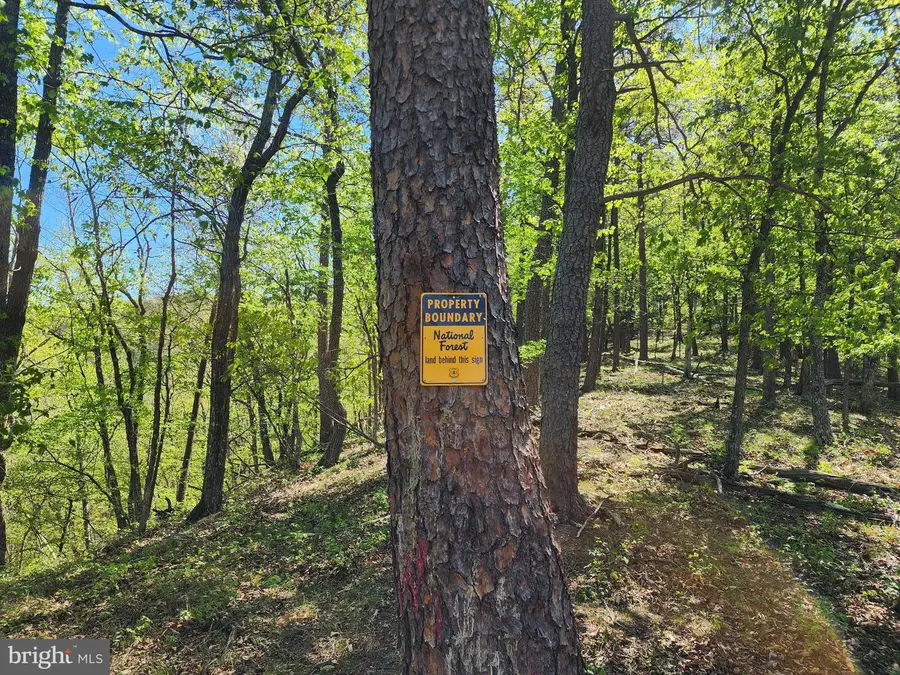 Lot #12 Potomac Valley Overlook, Brandywine, WV 26802 - #2
