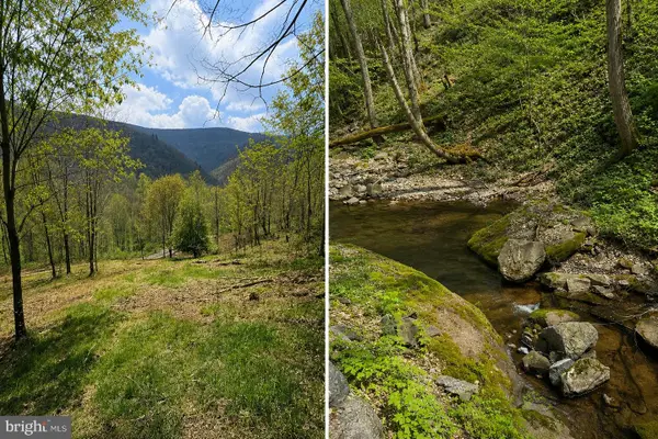 Tract A-30.82 Acs Straders Run Rd, SENECA ROCKS, WV 26884