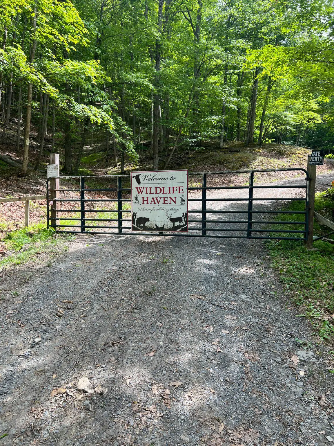 Edgar Ln, Upper Tract, WV 26866 - #1