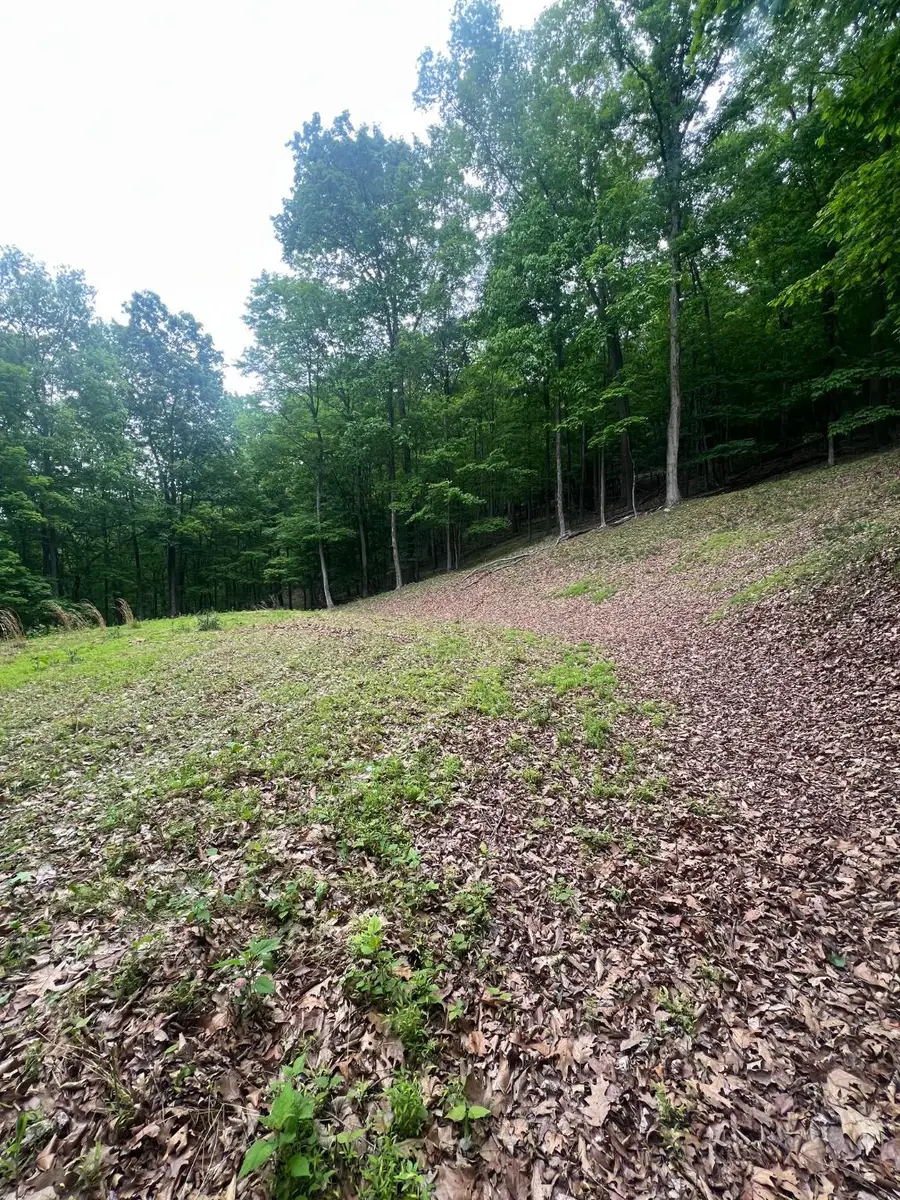 Edgar Ln, Upper Tract, WV 26866 - #2