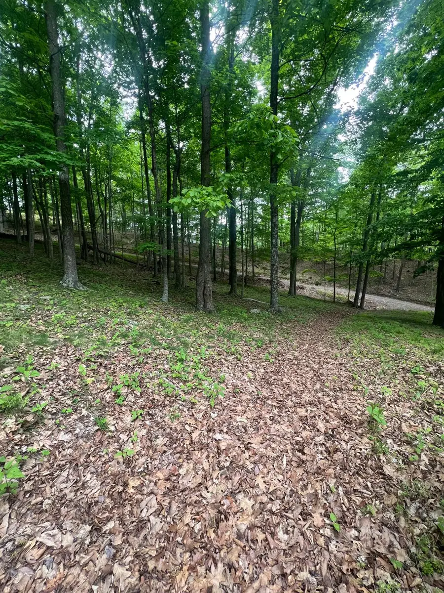 Edgar Ln, Upper Tract, WV 26866 - #3
