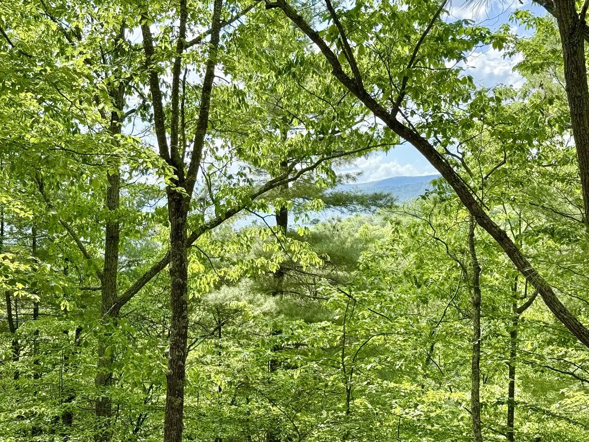 Hawks Ridge Road, Franklin, WV 26807 - #1