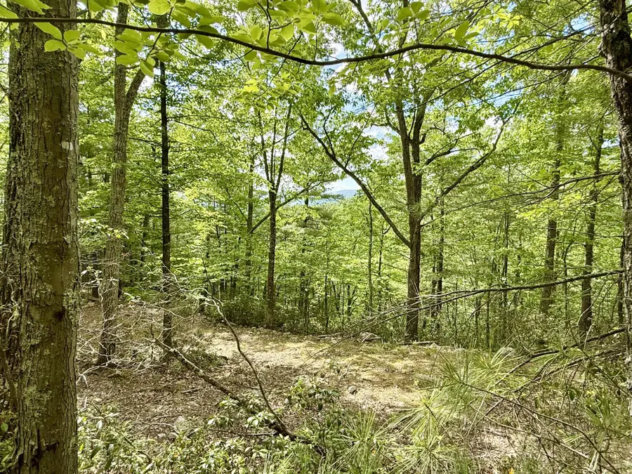 Hawks Ridge Road, Franklin, WV 26807 - #2