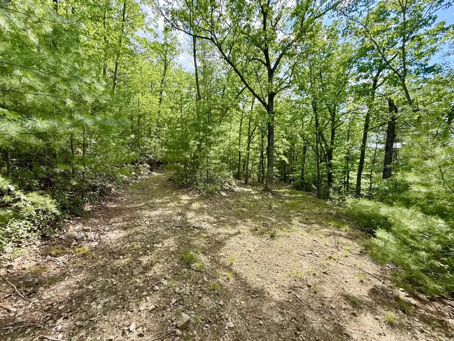 Hawks Ridge Road, Franklin, WV 26807 - #3