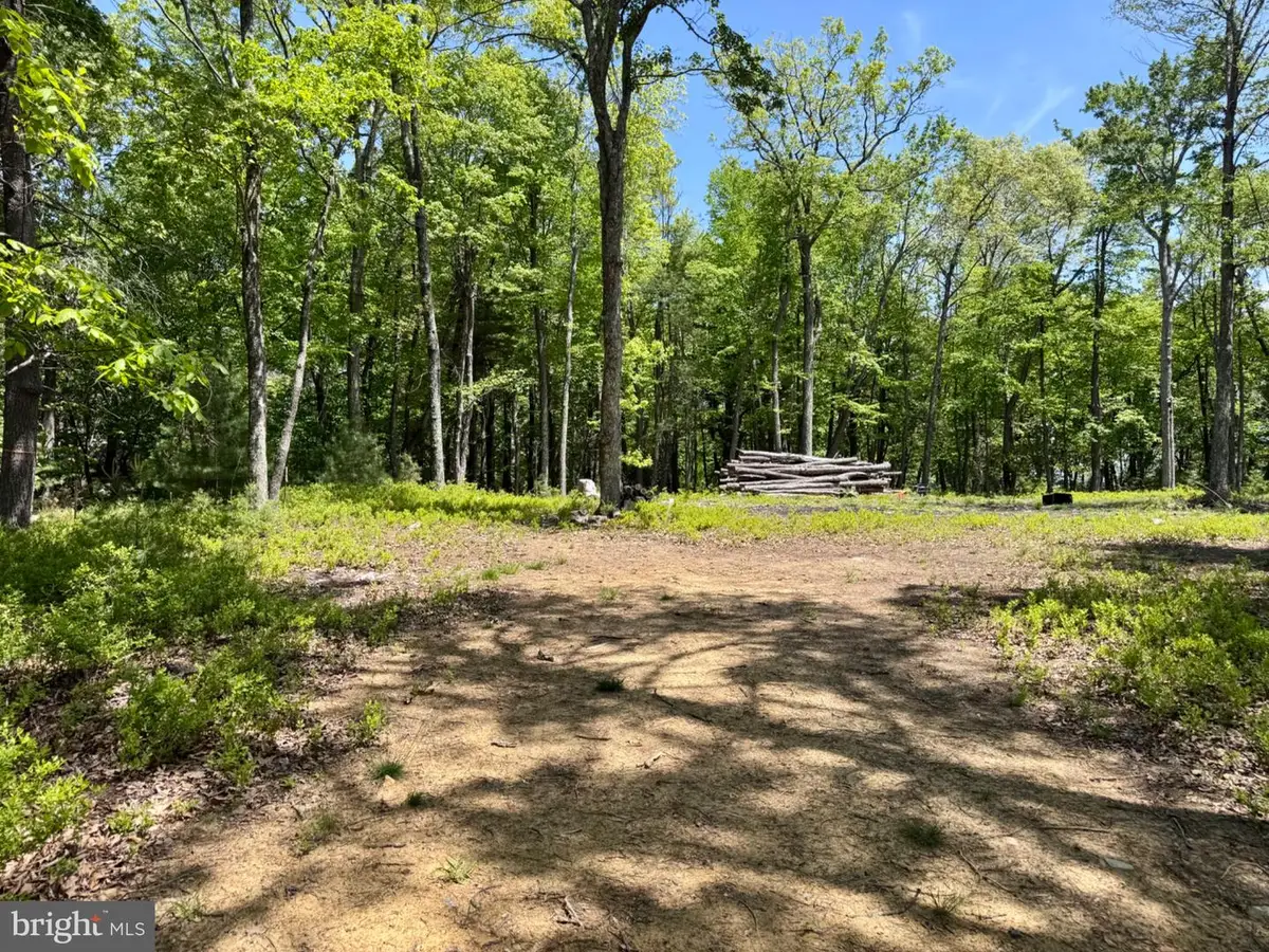 Hr10 Golf Club Dr, Franklin, WV 26807 - #1
