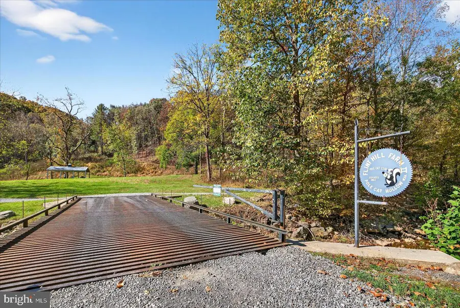 30 Polecat Hollow Blvd, Franklin, WV 26807 - #3