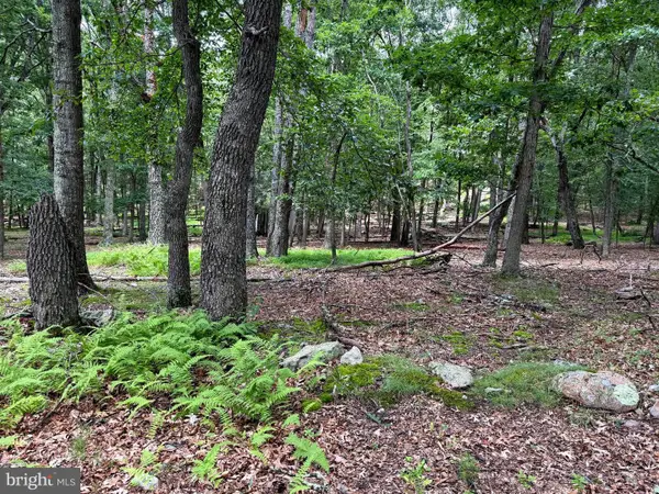Sub Parcels Of Lt 27 & 28 Boonedock Dr, UPPER TRACT, WV 26866