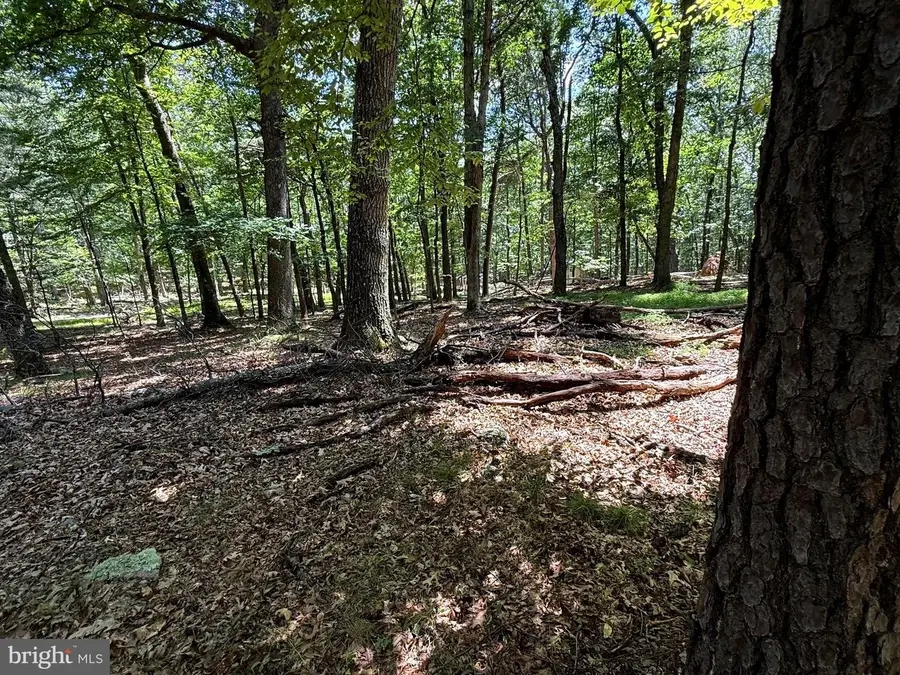 Sub Parcels Of Lt 27 & 28 Boonedock Dr, Upper Tract, WV 26866 - #2