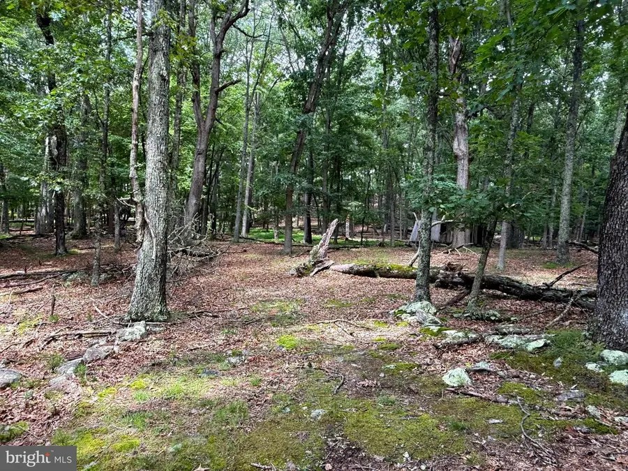 Sub Parcels Of Lt 27 & 28 Boonedock Dr, Upper Tract, WV 26866 - #3