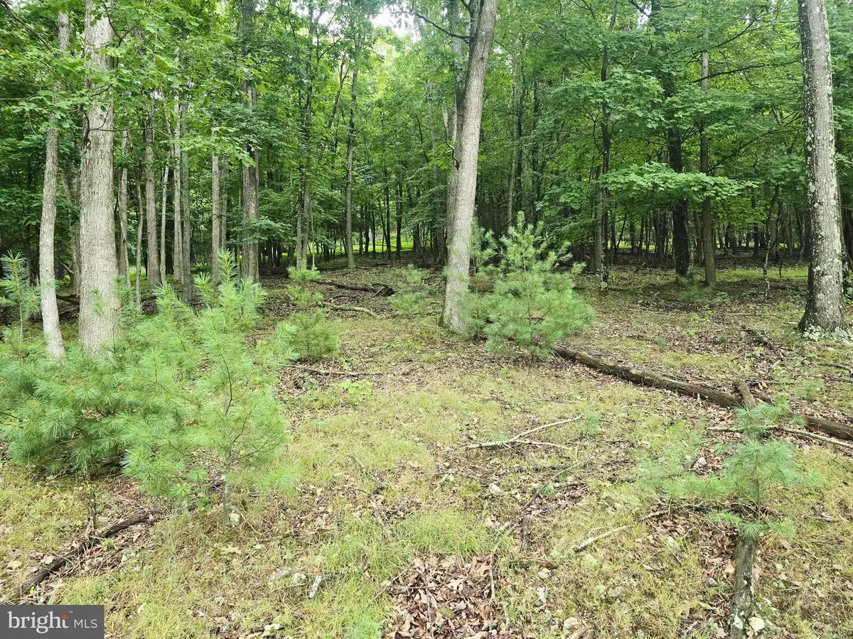 Lot 21 Fairway Ln, Franklin, WV 26807 - #1