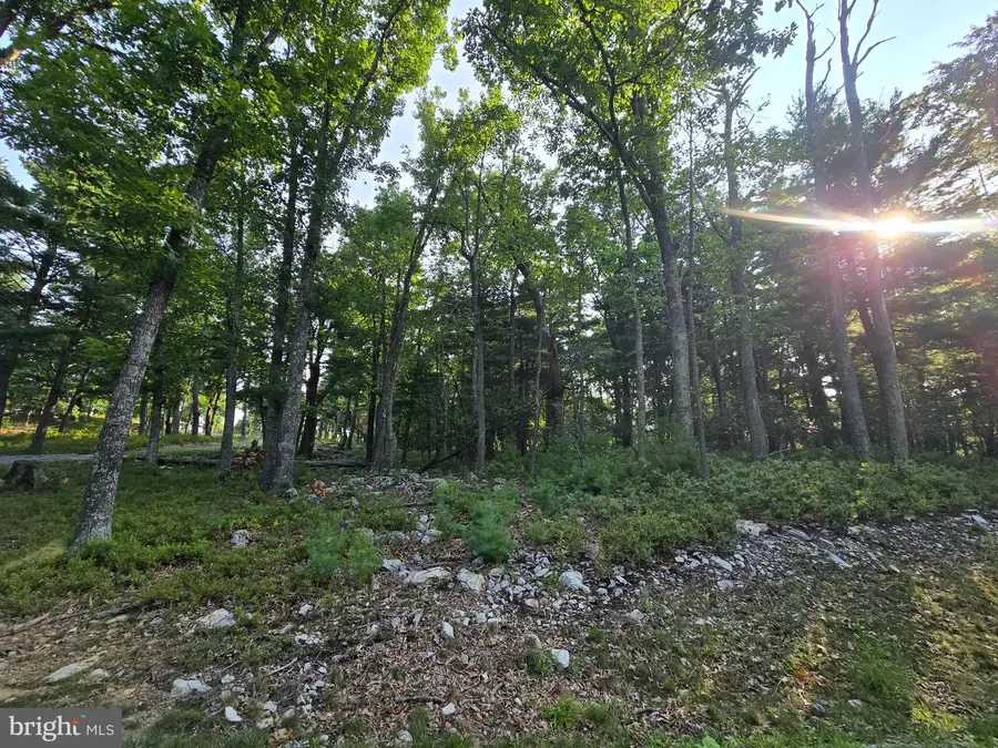 Lot # 9 Highland Ridge, Franklin, WV 26807 - #3