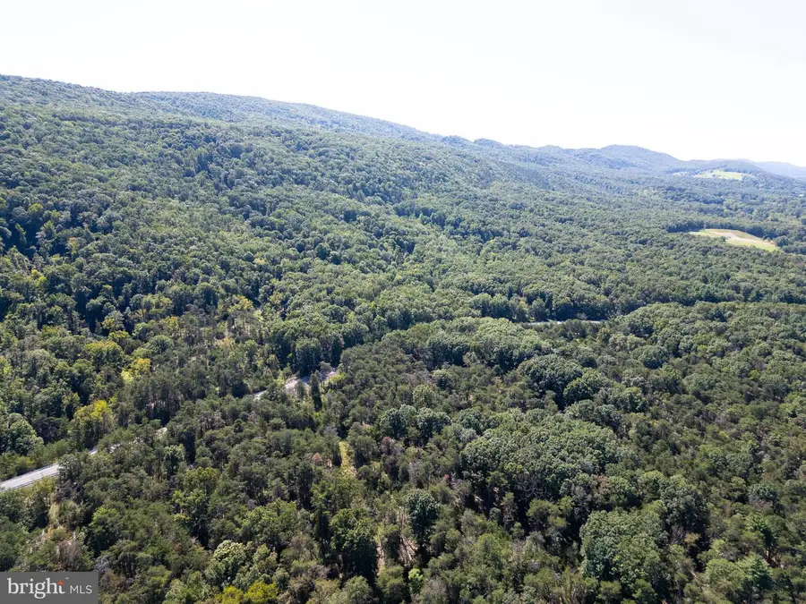 229 Inspiration Rd, Upper Tract, WV 26866 - #2
