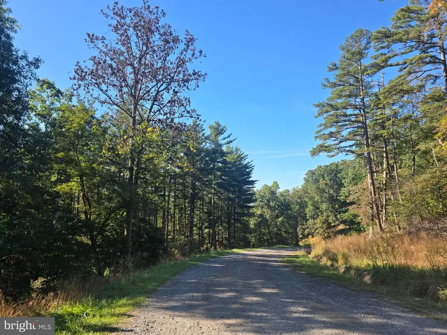 209 Happy Hollow Rd, Franklin, WV 26807 - #2